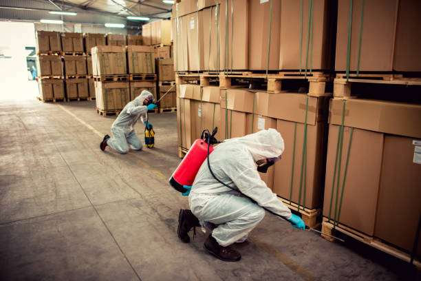 Best Best Pest Control Near Me  in Kings Park, VA