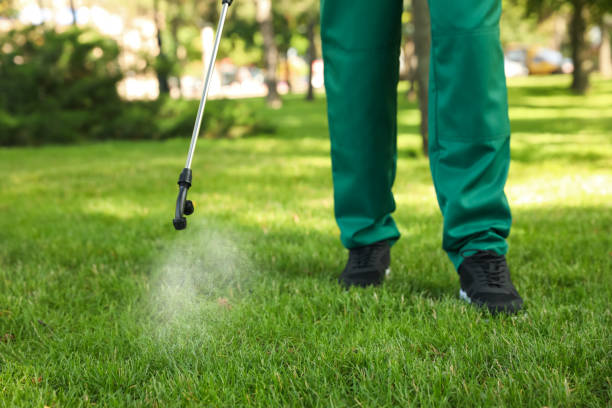 Best Cockroach Control Services  in Kings Park, VA