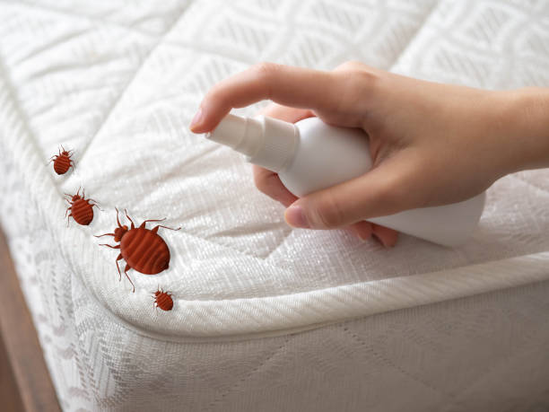 Best Residential Pest Control  in Kings Park, VA