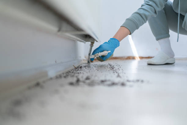 Best Pest Control Near Me in Kings Park, VA